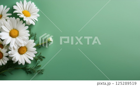 マーガレットと薄緑の余白 マーガレットと薄緑の余白 125289519
