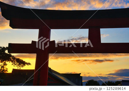 京都 伏見稲荷大社 美しい夕焼けと鳥居(京都府京都市伏見区) 京都 伏見稲荷大社 美しい夕焼けと鳥居(京都府京都市伏見区) 125289614