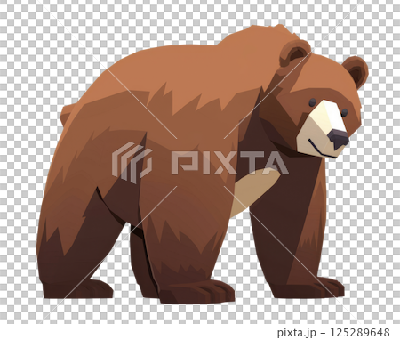 Bear Illustration 125289648