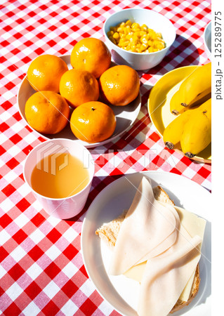 Picnic table with fruit, cheese sandwich, and juice on checkered cloth Picnic table with fruit, cheese sandwich, and juice on checkered cloth 125289775