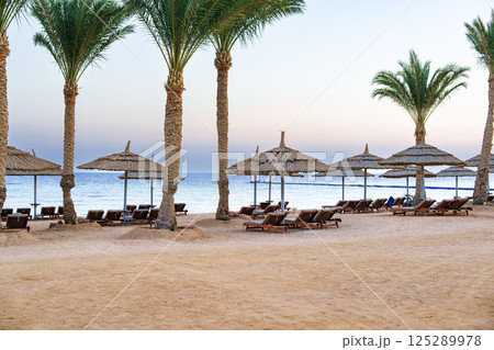 Relaxing beach scene with palm trees and lounge chairs at sunset by the ocean 125289978