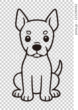 Illustration of a Doberman sitting facing forward 125290482