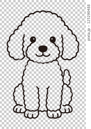 一隻面向前方坐著的貴賓犬的插圖 125290488