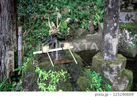 龍神が守る銭洗いの聖地・深澤銭洗弁財天 125290609