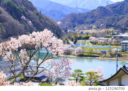 桜満開の高遠城址公園 125290700