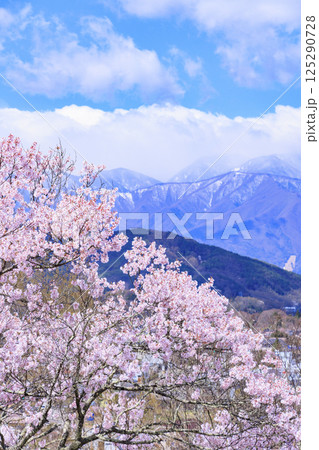 桜満開の高遠城址公園 125290728
