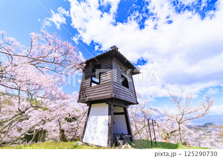 桜満開の高遠城址公園 125290730