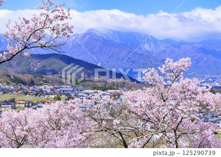 桜満開の高遠城址公園 125290739