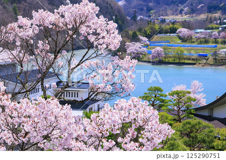 桜満開の高遠城址公園 桜満開の高遠城址公園 125290751