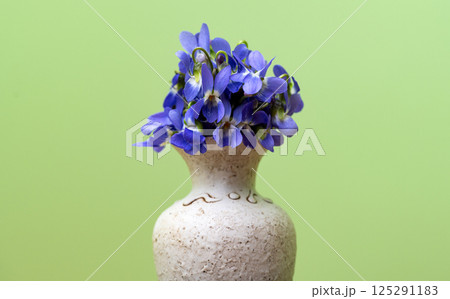 a bouquet of violets a bouquet of violets 125291183