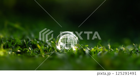 Crystal globe glass on green grass to protect nature Save and care World for sustainable Crystal globe glass on green grass to protect nature Save and care World for sustainable 125291491