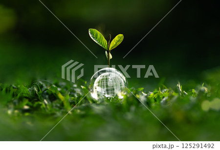 Earth Day concept of nature and protecting the world and preserving nature and the environment sustainably. Earth Day concept of nature and protecting the world and preserving nature and the environment sustainably. 125291492