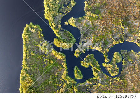 Wetlands wild tropical nature at sunset. Florida ecosystem landscape Wetlands wild tropical nature at sunset. Florida ecosystem landscape 125291757