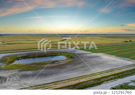 Water reservoirs for cows grazing on green farm pasture. Drinking ponds at free range farm. Feeding of cattle on farmland grassland 125291760