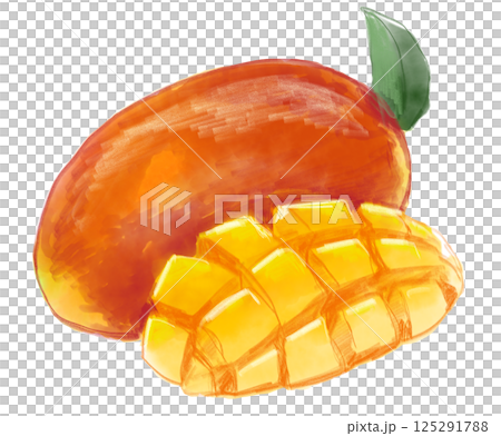 美味しそうで新鮮なカットされたマンゴーの手描き水彩イラスト 125291788