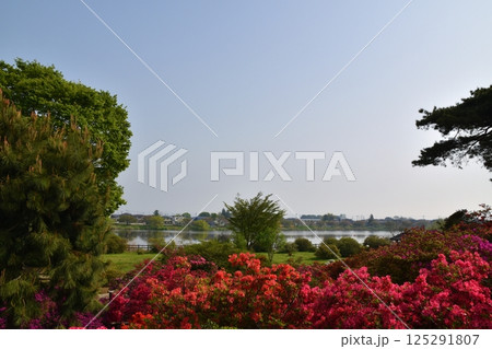快晴のつつじが岡公園 群馬 快晴のつつじが岡公園 群馬 125291807