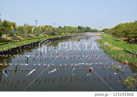 快晴のこいのぼりの里まつり　群馬 125291808