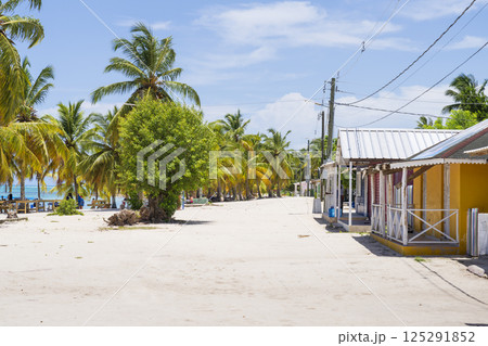 Main street of Saona Island with colorful house Main street of Saona Island with colorful house 125291852