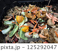 Compost bin filled with organic waste . Concept ecofriendly lifestyle. Sustainable living. Organic waste 125292047