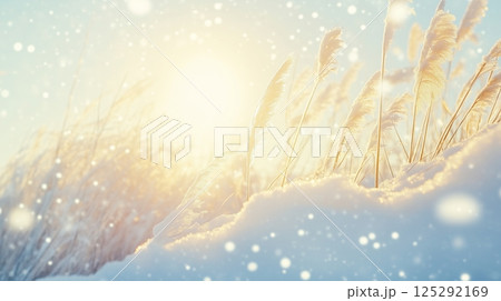 The reed grass in the wind and snow, the pampas grass The reed grass in the wind and snow, the pampas grass 125292169