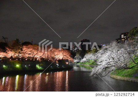 千鳥ヶ淵の夜桜　東京 125292714