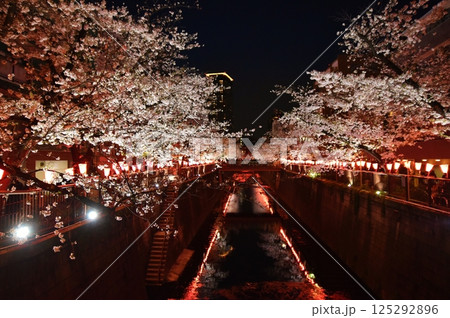 目黒川の夜桜　東京 125292896