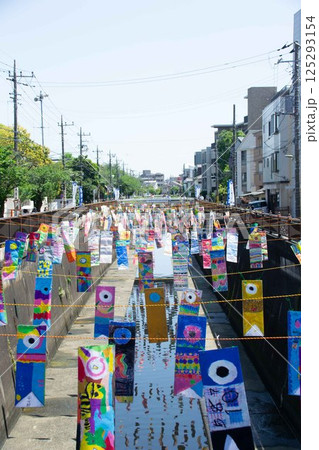 吞川の鯉のぼり 吞川の鯉のぼり 125293154