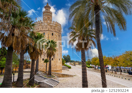 Torre del Oro in Seville 125293224