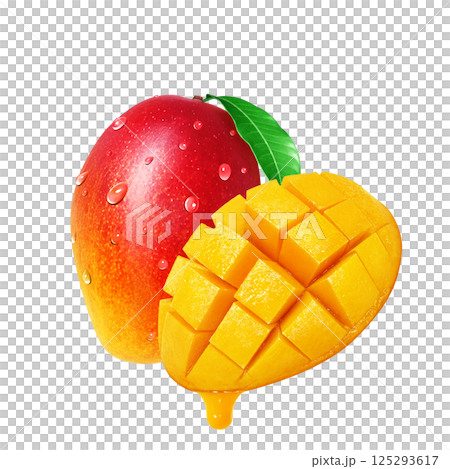 Mango illustration realistic white background 125293617