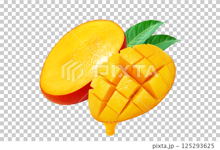 Mango illustration realistic white background 125293625