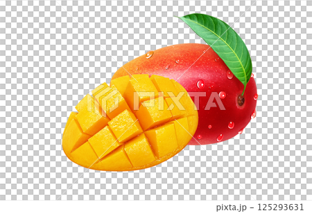 Mango illustration realistic white background 125293631