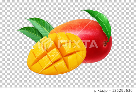 Mango illustration realistic white background 125293636