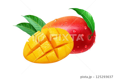 マンゴー イラスト リアル 白バック 125293637