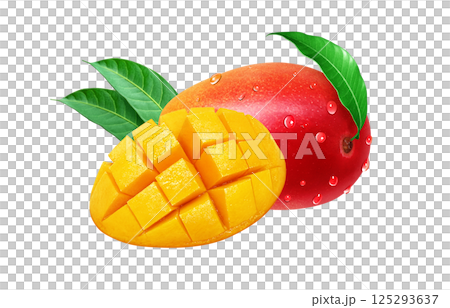 マンゴー イラスト リアル 白バック 125293637