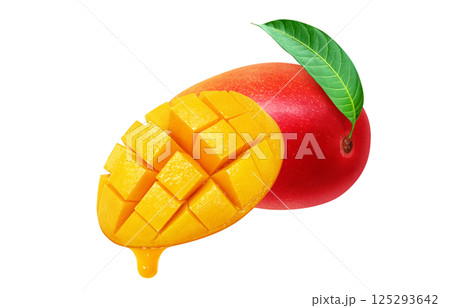 マンゴー イラスト リアル 白バック 125293642