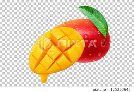 芒果插圖逼真的白色背景 芒果插圖逼真的白色背景 125293643
