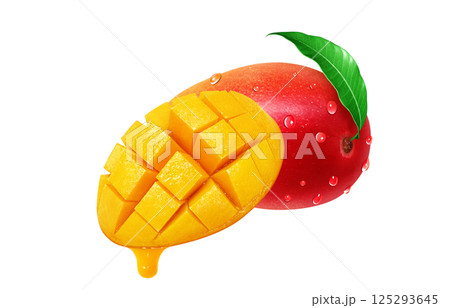 マンゴー イラスト リアル 白バック マンゴー イラスト リアル 白バック 125293645