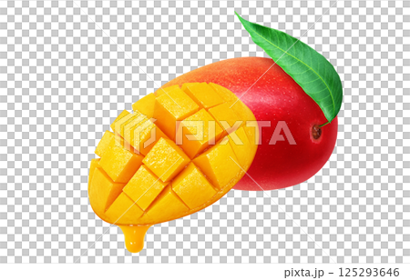 Mango illustration realistic white background 125293646