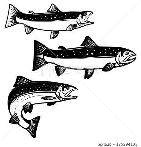 Set of trout silhouettes. Design element for logo, label, emblem, sign, brand mark for fishing camp or team. Vector illustration. 125294135