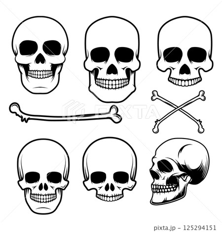 Set of the human skulls in vector Set of the human skulls in vector 125294151