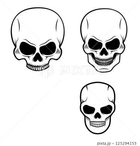 Set of the human skulls in vector 125294153
