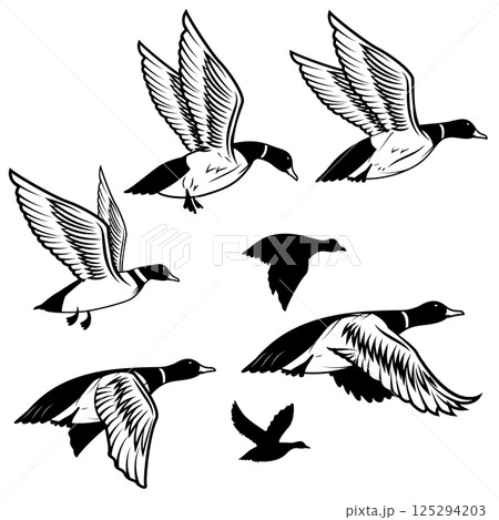 Set of flying wild ducks. Duck hunting. 125294203