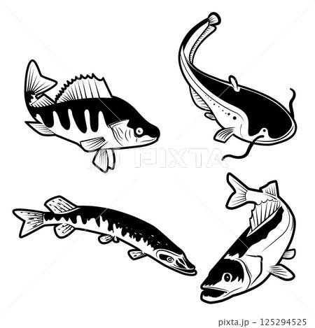 Set of the river fish in vector. Fish logo design templates 125294525