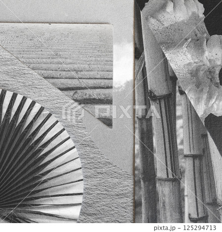Abstract black and white paper collage illustration with tropical nature elements 125294713