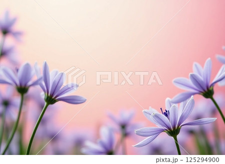 Purple blossoms stretch toward a gentle light, creating a serene landscape filled with life. The soft hues of dawn complement the flowers elegance, symbolizing renewal Generative AI 125294900