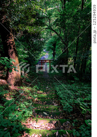 葉山町の森にひっそり佇む下山口稲荷神社 125294939