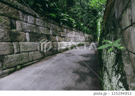 佐島石こみちで出会う和の風景 佐島石こみちで出会う和の風景 125294952