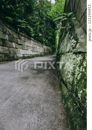 ひっそりと佇む葉山町の裏道 125294953