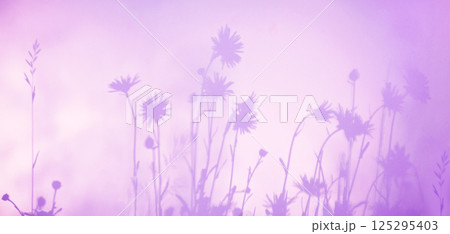 Delicate botanical silhouettes projected on gradient background. Great for nature, relaxation and greeting visuals Banner Delicate botanical silhouettes projected on gradient background. Great for nature, relaxation and greeting visuals Banner 125295403