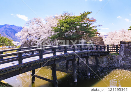 桜満開の長野松代城址 桜満開の長野松代城址 125295565